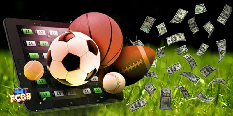 Soi Kèo Bóng Đá fcb8 - Quan sát kèo chấp tăng hoặc giảm Soi Kèo Bóng Đá fcb8 - Quan sát kèo chấp tăng hoặc giảm